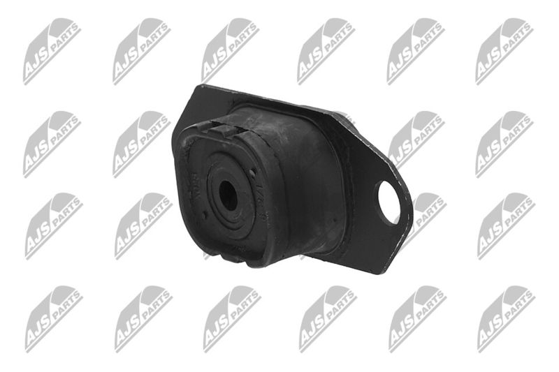 Paigutus, Mootor, NTY ZPS-NS-055