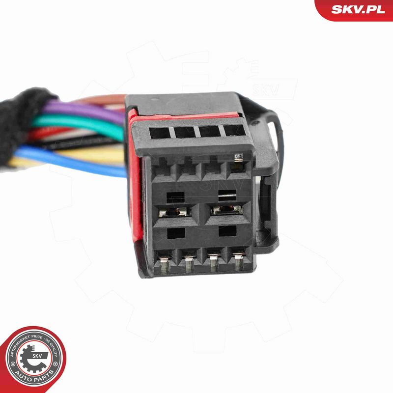 ESEN SKV 52SKV204 Electric Motor, tailgate