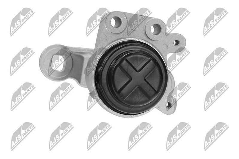 Paigutus, Mootor, NTY ZPS-FR-044