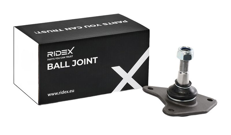 Шарнири RIDEX