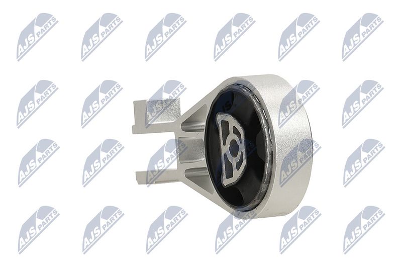 Paigutus, Mootor, NTY ZPS-PL-002