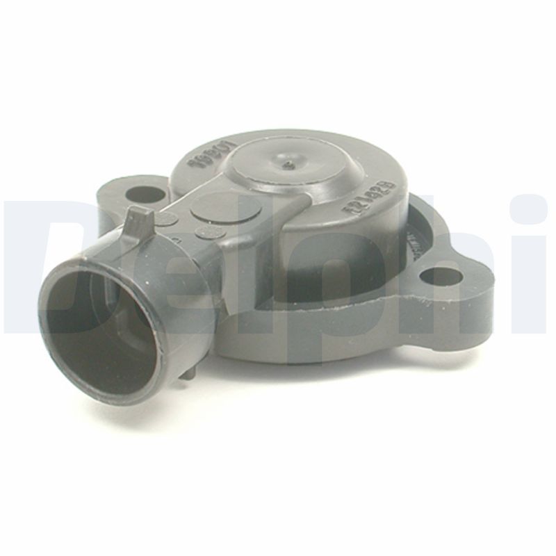 SS10467.JPG