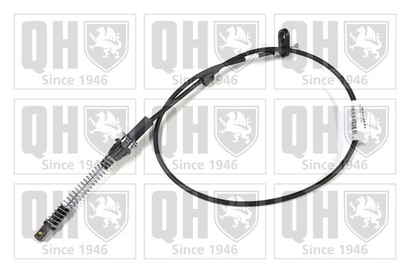 QH_QTC4035.JPG