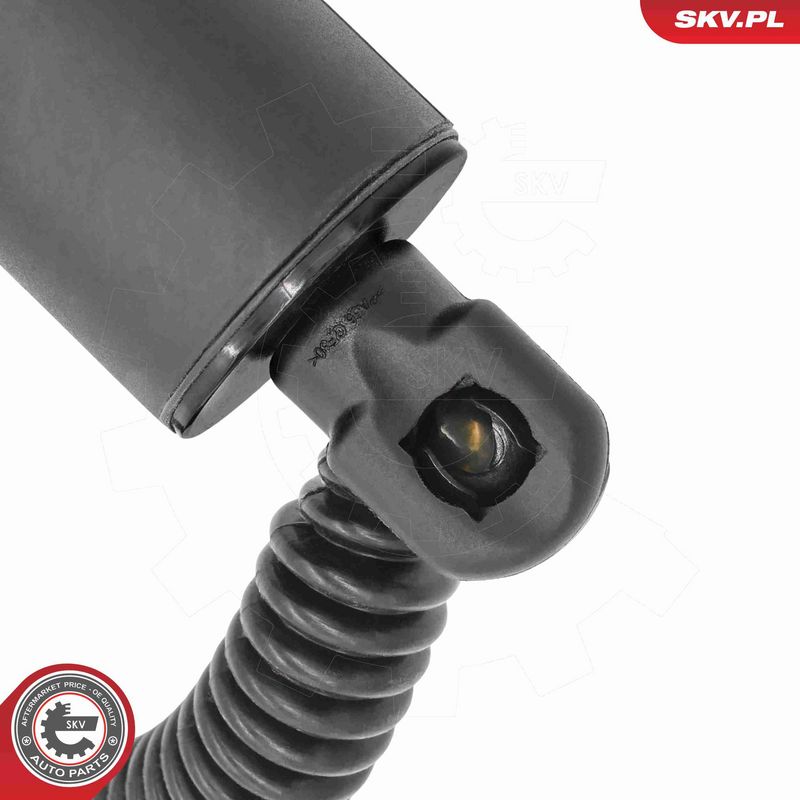 ESEN SKV 52SKV195 Electric Motor, tailgate