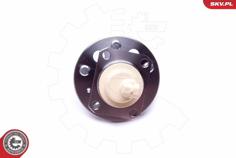 ESEN SKV 29SKV377 Wheel Bearing Kit