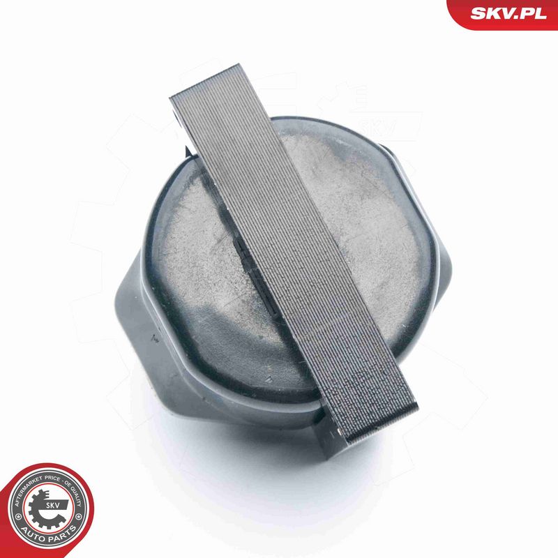 ESEN SKV 03SKV253 Ignition Coil