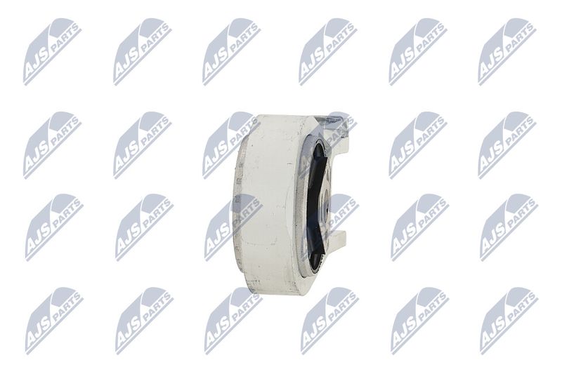 Paigutus, Mootor, NTY ZPS-PE-002