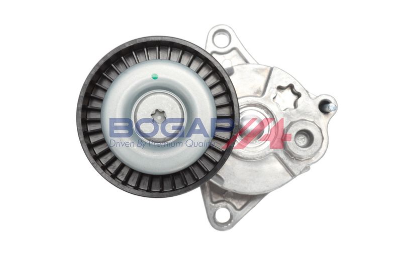 Tensor para Correa Poly V BOGAP C1317100 - 3