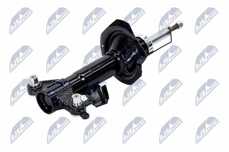 Amort, NTY A-NS-016