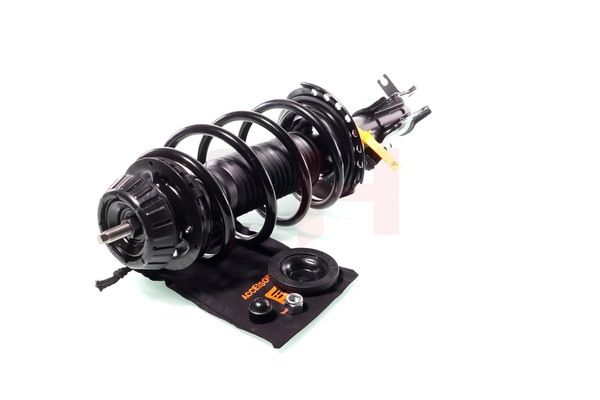 Vedruamort, GH GH-353422C01