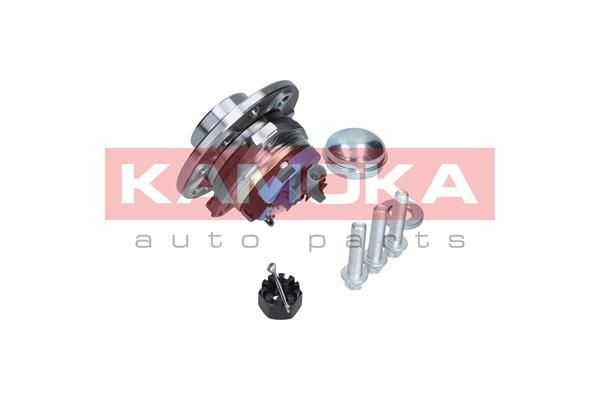 KAMOKA 5500059 Wheel Bearing Kit