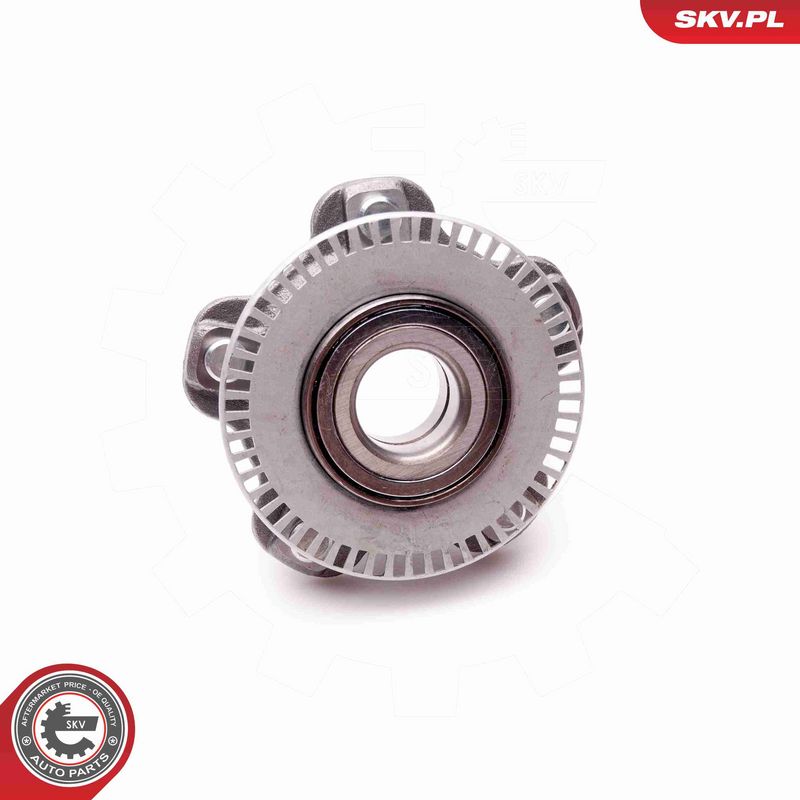 ESEN SKV 29SKV065 Wheel Bearing Kit