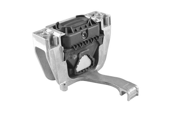 TEDGUM TED44110 Mounting, engine