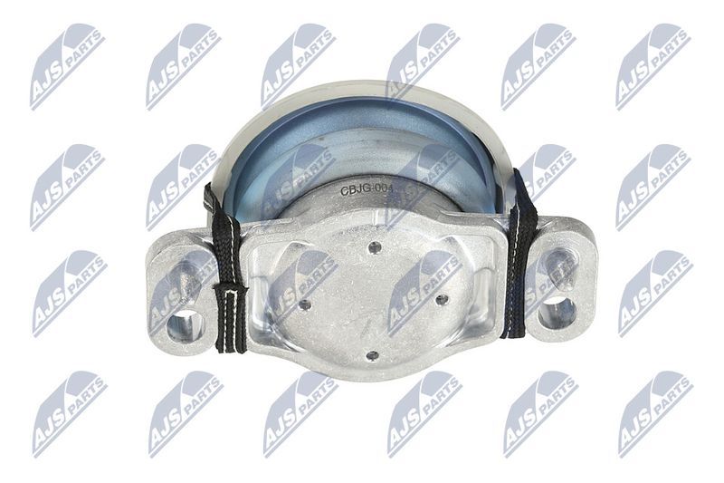 Paigutus, Mootor, NTY ZPS-JG-004