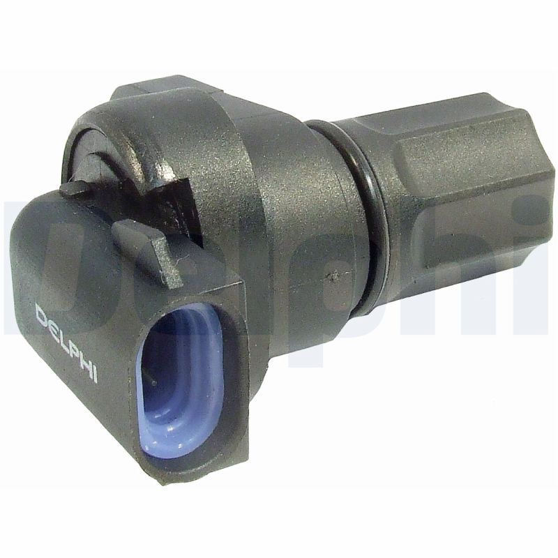 SS10311.JPG