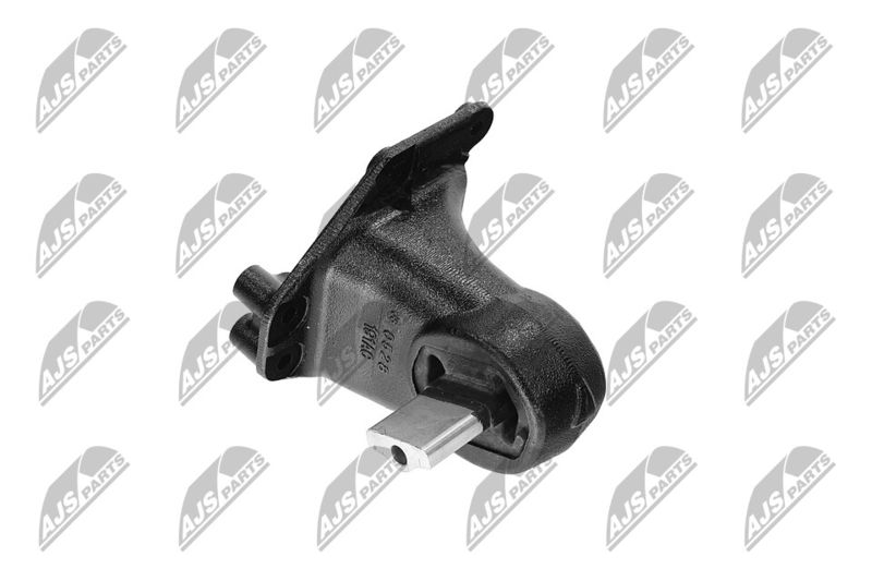 Paigutus, Mootor, NTY ZPS-CH-173