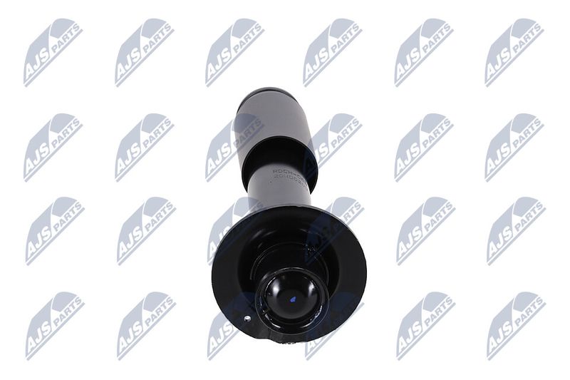 Amort, NTY A-CH-068