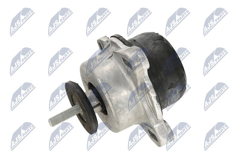 Paigutus, Mootor, NTY ZPS-FR-013