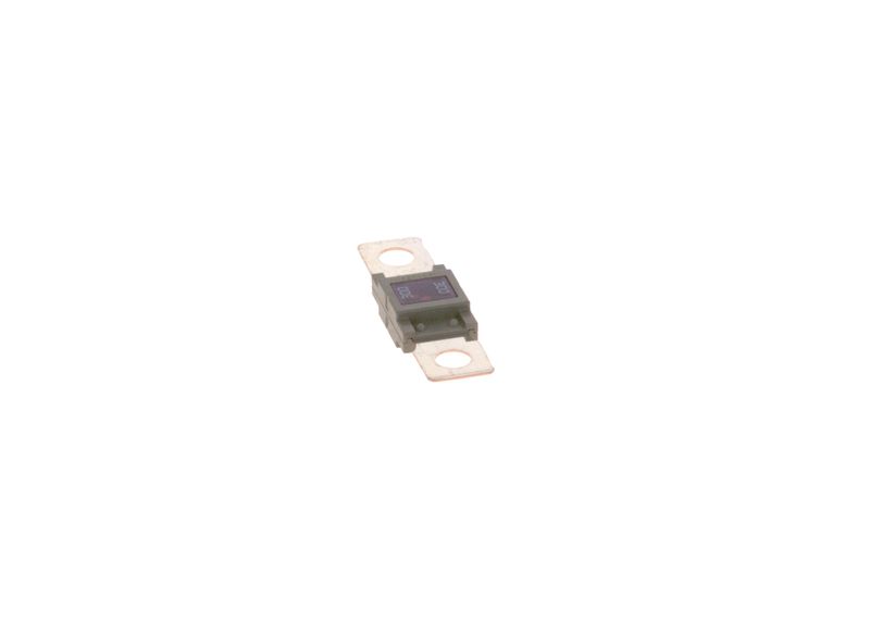 BOSCH 1987531007 Fuse