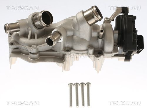 TRISCAN Vízszivattyú, motorhűtés 8600 29101