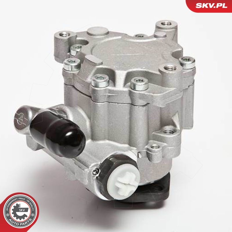 Hüdraulikapump, roolimine, ESEN SKV 10SKV043