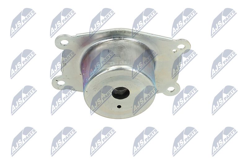 Paigutus, Mootor, NTY ZPS-PL-044
