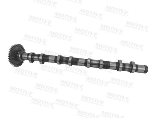 MOTIVE T4342 Camshaft