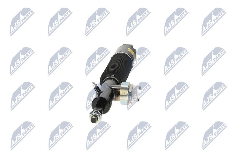 Amort, NTY A-NS-055