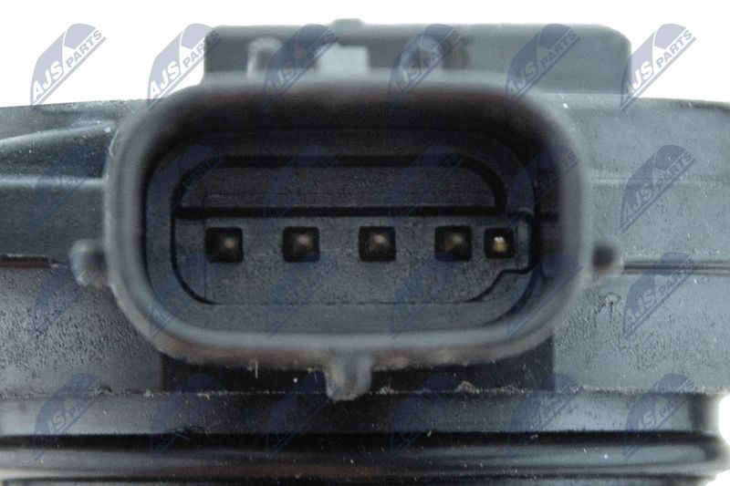 EPP-HD-006_6-WM.JPG