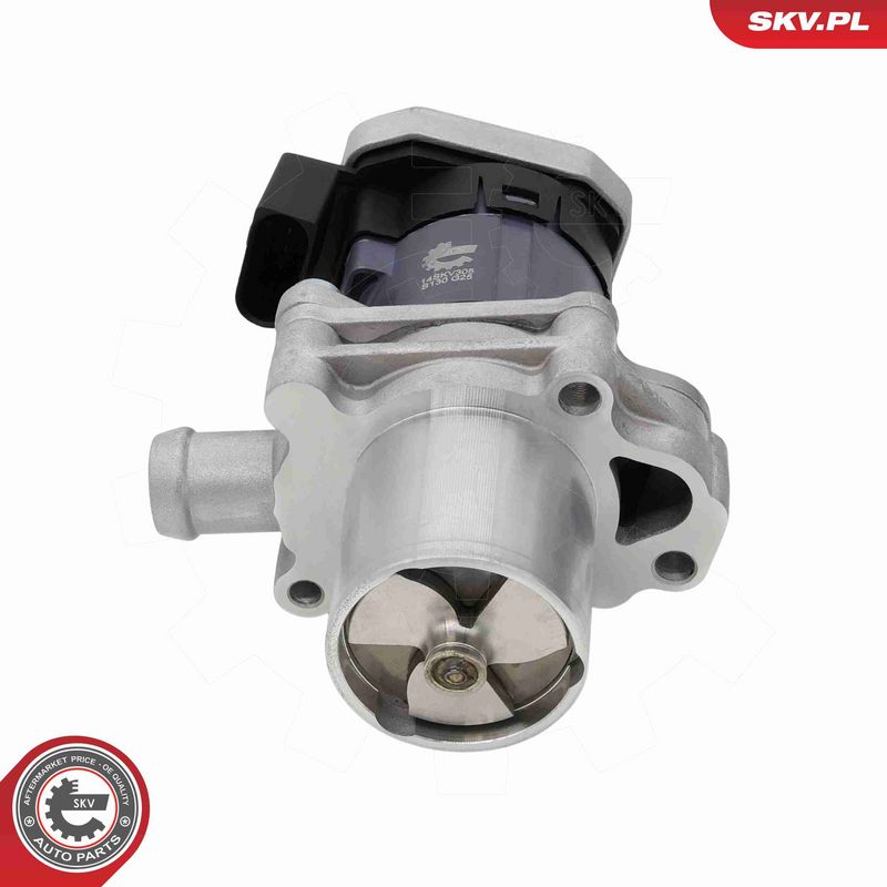 ESEN SKV 14SKV305 EGR Valve