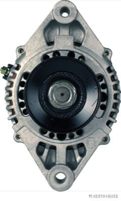 J5111089.JPG