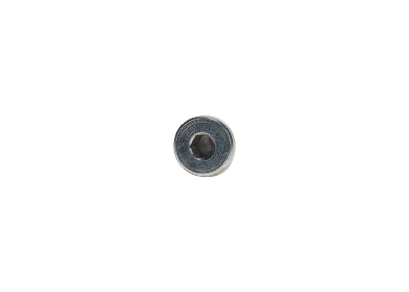 Surub 2 911 278 750 BOSCH