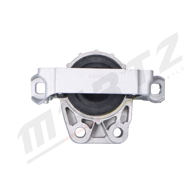 MERTZ M-S4959 Mounting, engine