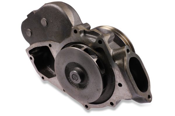 P9945 (2).JPG