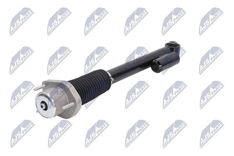 Amort, NTY A-LR-019