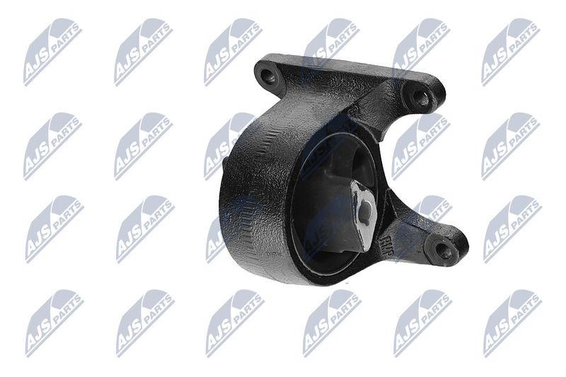 Paigutus, Mootor, NTY ZPS-CH-008