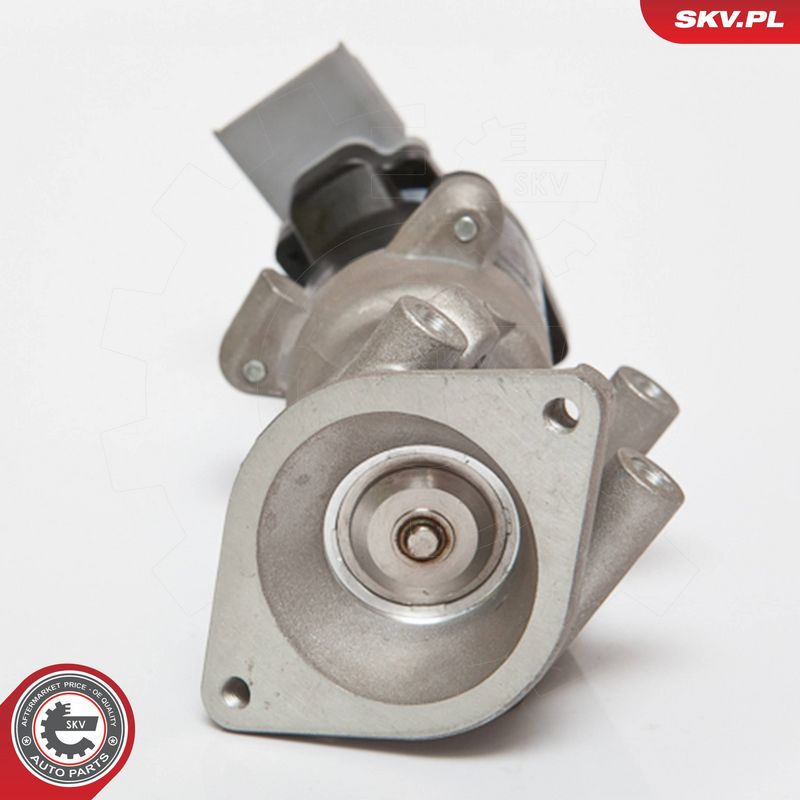 ESEN SKV 14SKV072 EGR Valve
