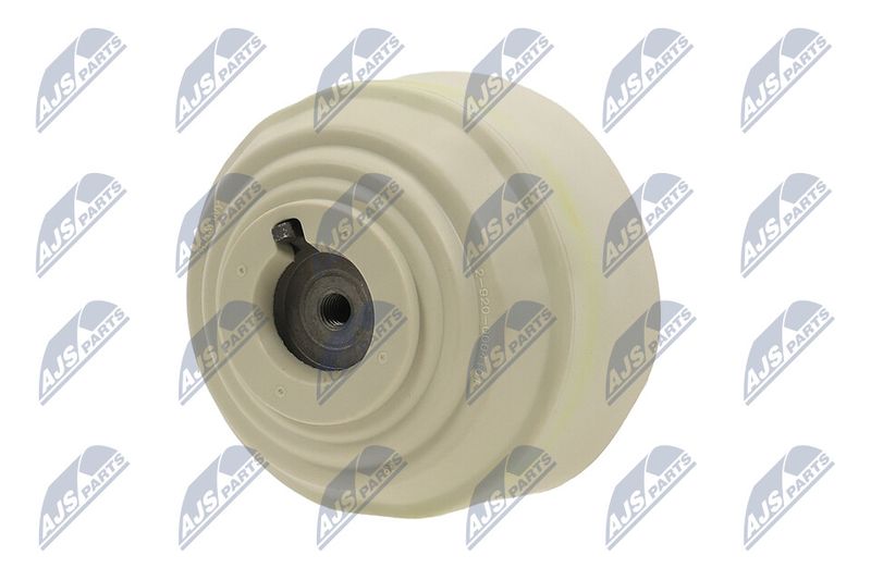 Paigutus, Mootor, NTY ZPS-ME-101