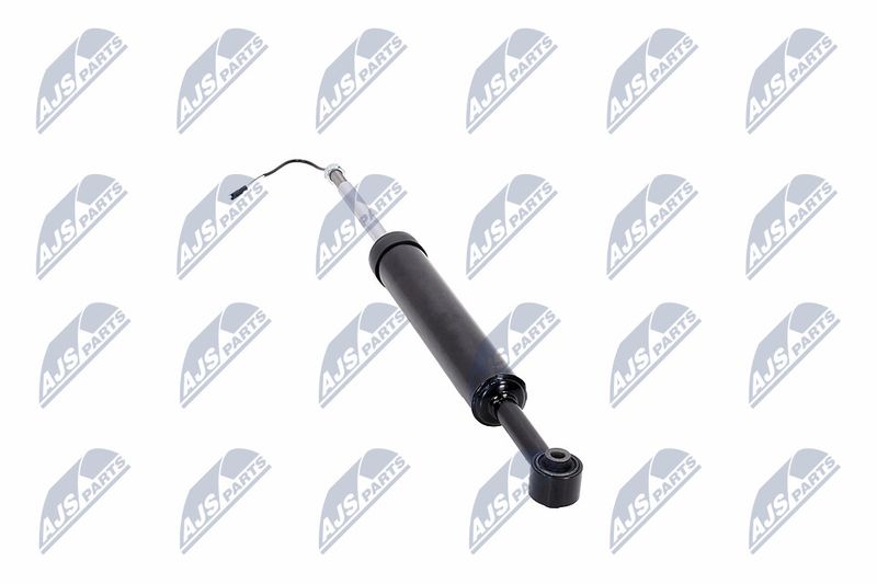Amort, NTY A-MA-002