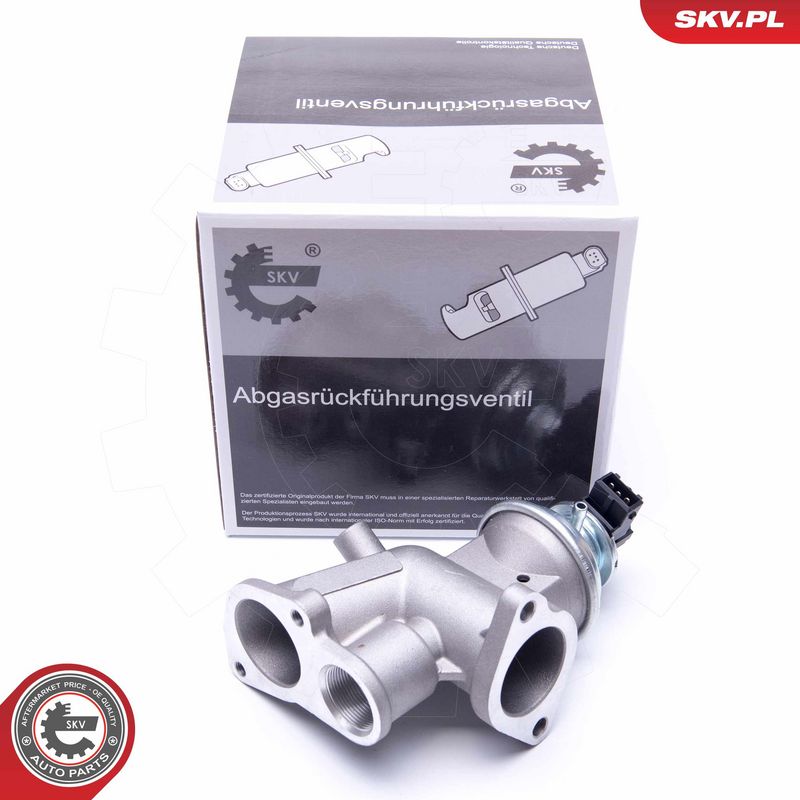 EGR-klapp, ESEN SKV 14SKV181