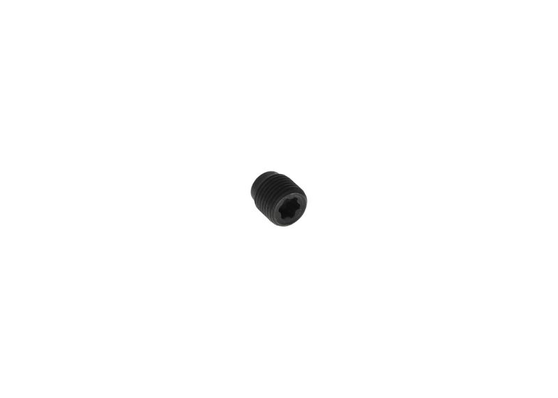 Surub F 00N 201 507 BOSCH