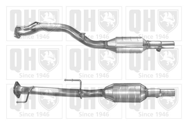 QH_QCAT91176H.JPG