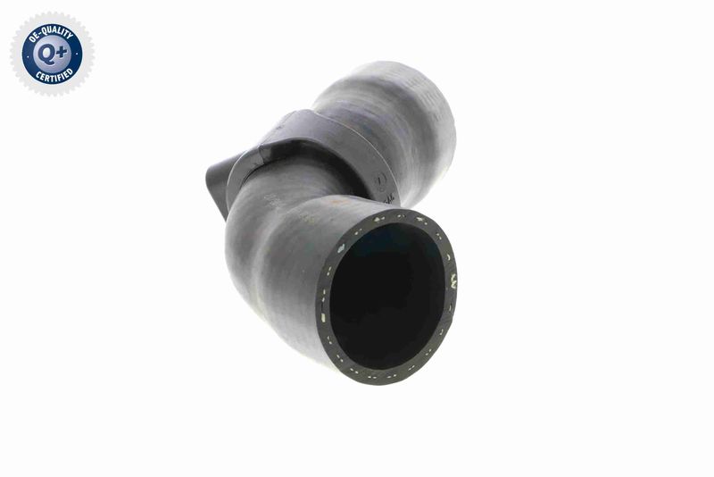 VAICO V42-0613 Charge Air Hose