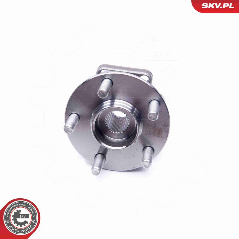ESEN SKV 29SKV181 Wheel Bearing Kit
