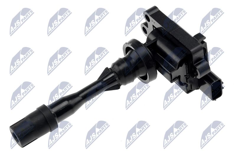 ECZ-MS-023_1-WM.JPG