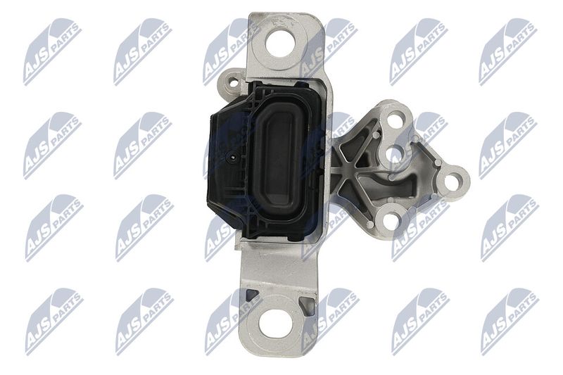 Paigutus, Mootor, NTY ZPS-FR-069