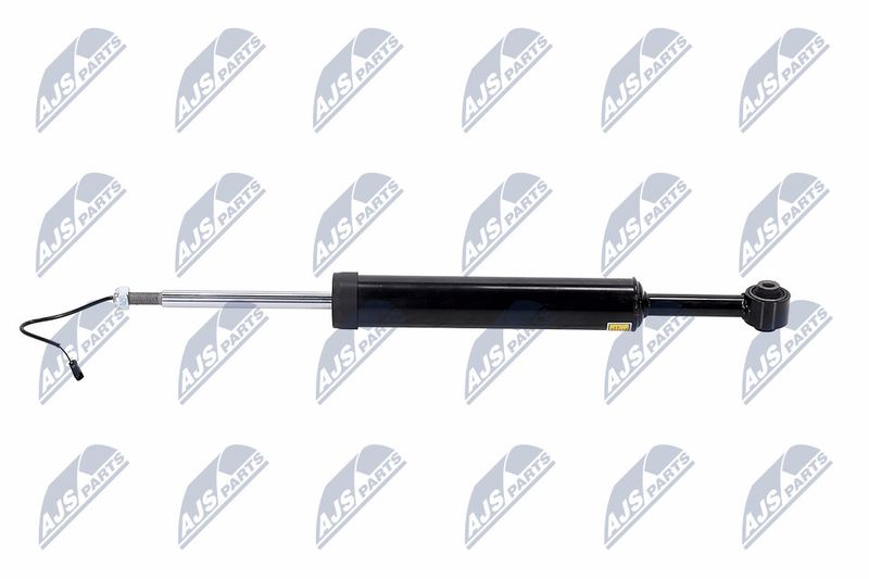 Amort, NTY A-MA-002