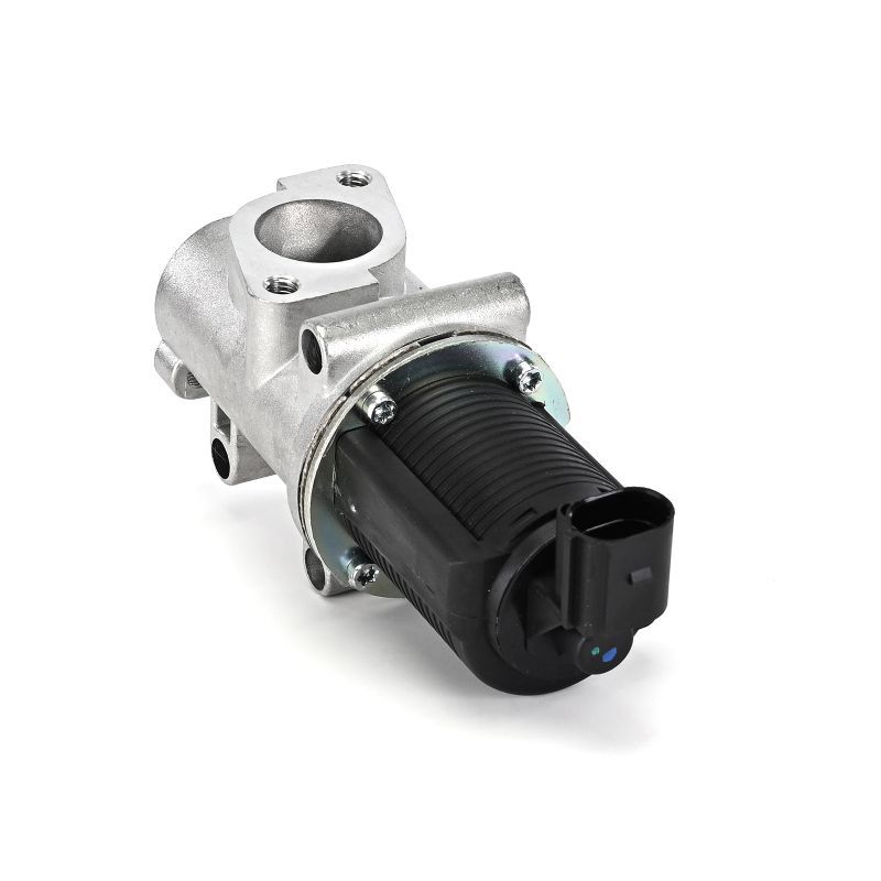 AGR-Ventil EG10403-12B1