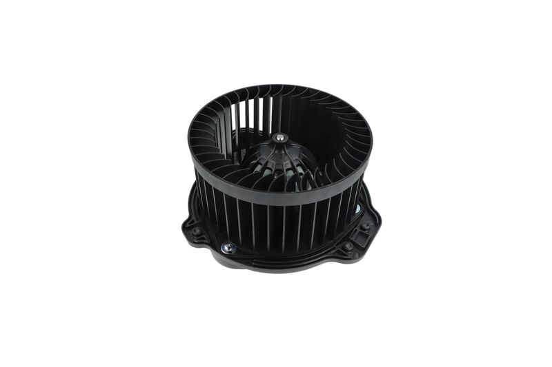 Salongipuhur, NRF 34136