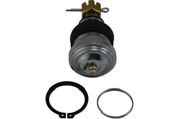 Kavo Parts Šarnyras / girgždukas
